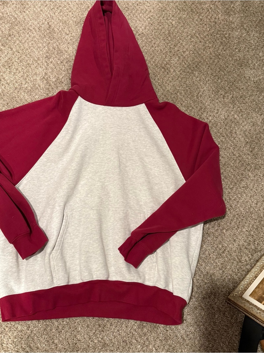Aritzia Sweatfleece Mega Colorblock Hoodie